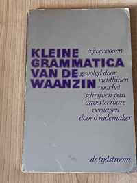 Kleine grammatica van de waanzin