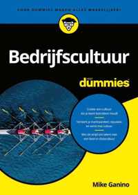 Bedrijfscultuur voor Dummies