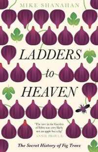 Ladders to Heaven