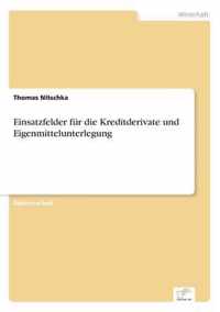 Einsatzfelder fur die Kreditderivate und Eigenmittelunterlegung