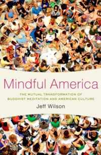 Mindful America