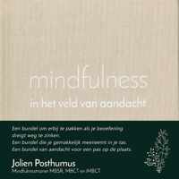 mindfulness in het veld van aandacht