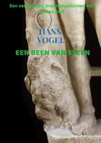 Een been van steen - Hans Vogel - Paperback (9789464488272)