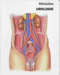 Miniatlas Urologie