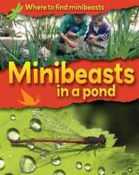 Where to Find Minibeasts