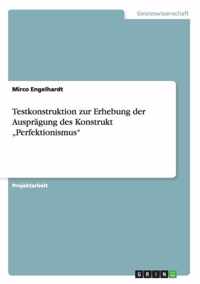 Testkonstruktion zur Erhebung der Auspragung des Konstrukt Perfektionismus