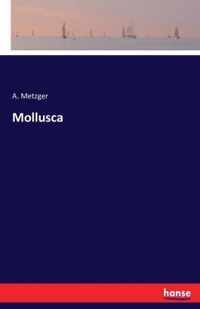 Mollusca