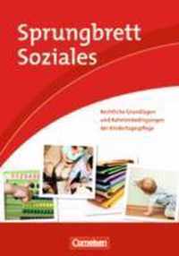 Sprungbrett Soziales - Kinderpflege: Rechtliche Grundlagen und Rahmenbedingungen der Kindertagespflege