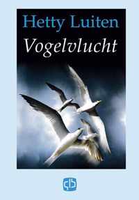 Vogelvlucht