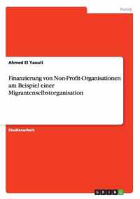 Finanzierung von Non-Profit-Organisationen am Beispiel einer Migrantenselbstorganisation