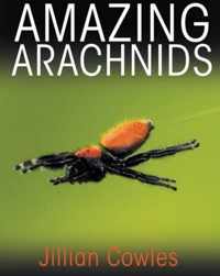 Amazing Arachnids