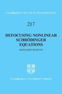 Defocusing Nonlinear Schroedinger Equations