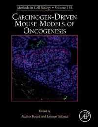 Carcinogen-Driven Mouse Models of Oncogenesis