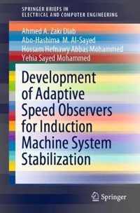 Development of Adaptive Speed Observers for Induction Machine System Stabilization