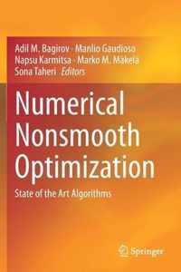 Numerical Nonsmooth Optimization