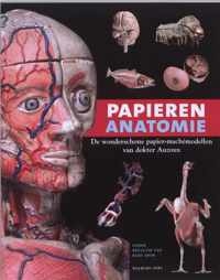 Papieren anatomie