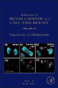 Organisation of Chromosomes