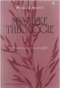 Mystieke Theologie