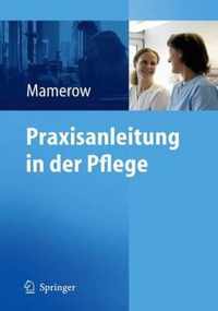 Praxisanleitung in Der Pflege