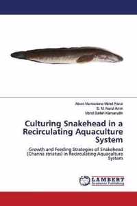 Culturing Snakehead in a Recirculating Aquaculture System