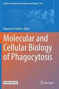 Molecular and Cellular Biology of Phagocytosis