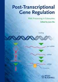 Post-Transcriptional Gene Regulation: RNA Processing in Eukaryotes