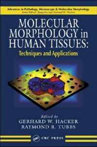 Molecular Morphology in Human Tissues