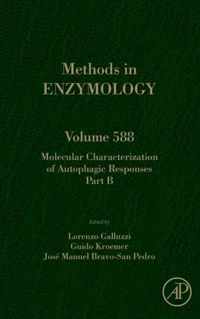 Molecular Characterization of Autophagic Responses Part B