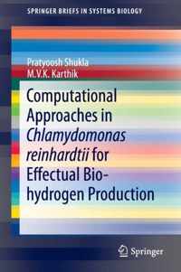 Computational Approaches in Chlamydomonas reinhardtii for Effectual Bio hydrogen