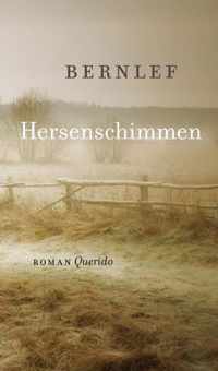 Hersenschimmen