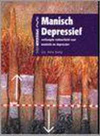 Manisch depressief