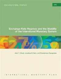 Exchange Rate Regimes and the Stability of the International Monetary System