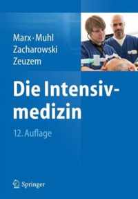 Die Intensivmedizin