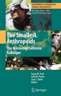 The Smallest Anthropoids