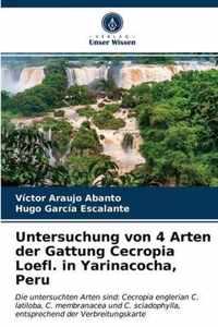 Untersuchung von 4 Arten der Gattung Cecropia Loefl. in Yarinacocha, Peru