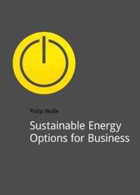 Sustainable Energy Options for Business