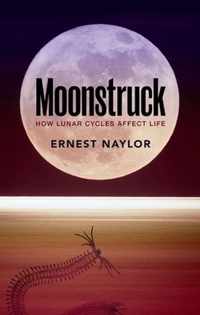 Moonstruck How Lunar Cycles Affect Life