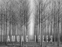 Among Trees