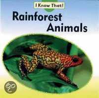 Rainforest Animals