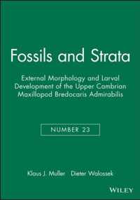 Fossils and Strata