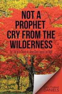 Not a Prophet Cry from the Wilderness