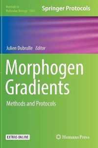 Morphogen Gradients