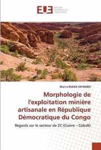 Morphologie de l'exploitation miniere artisanale en Republique Democratique du Congo