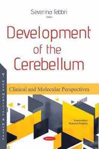 Development of the Cerebellum