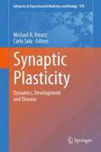 Synaptic Plasticity