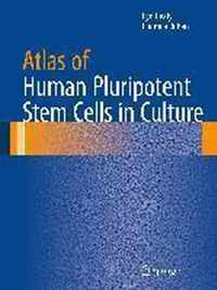 Atlas of Human Pluripotent Stem Cells in Culture