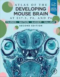 Atlas of the Developing Mouse Brain