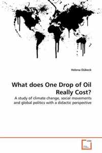 What does One Drop of Oil Really Cost?