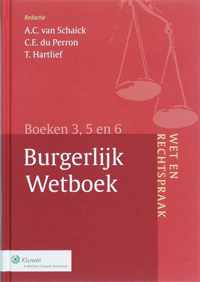 Wet en rechtspraak, burgerlijk wetboek 3, 5 en 6