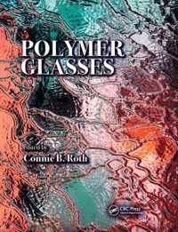 Polymer Glasses